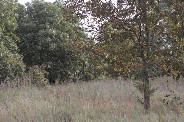 $330,650 | 0 Ivory Road, Moran, KS 66755