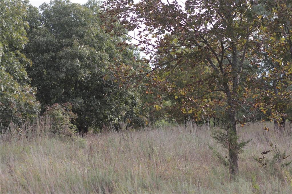 0 Ivory Road Moran, KS 66755 - Photo 40 of 50