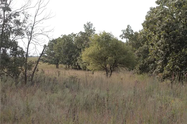 $330,650 | 0 Ivory Road, Moran, KS 66755