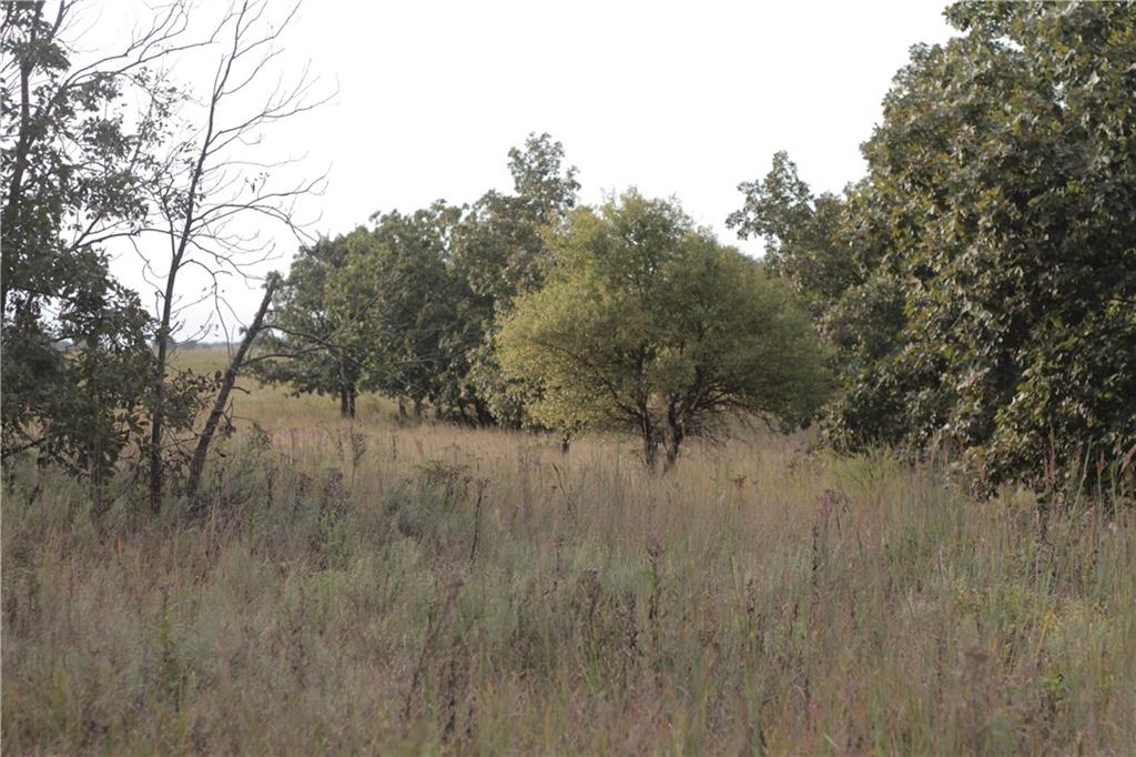 0 Ivory Road Moran, KS 66755 - Photo 41 of 50