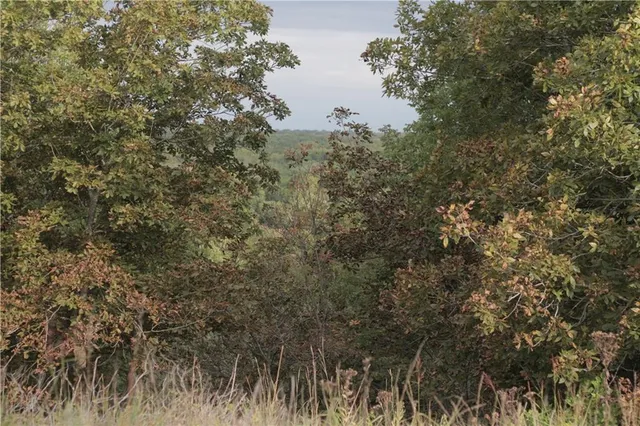 $330,650 | 0 Ivory Road, Moran, KS 66755