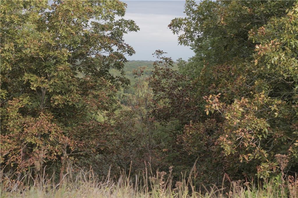 0 Ivory Road Moran, KS 66755 - Photo 42 of 50