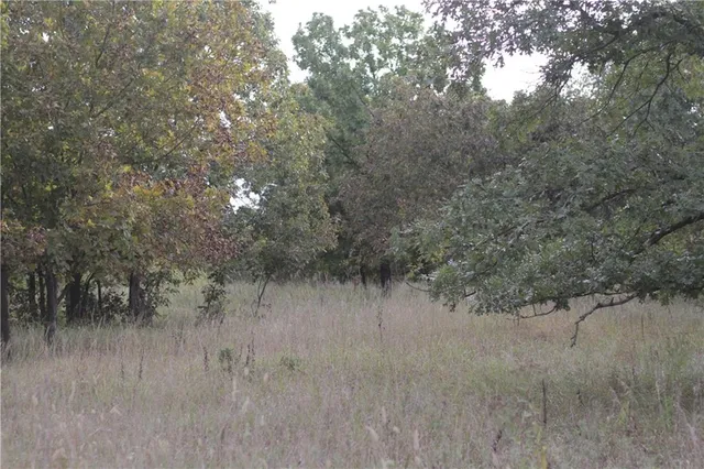 $330,650 | 0 Ivory Road, Moran, KS 66755