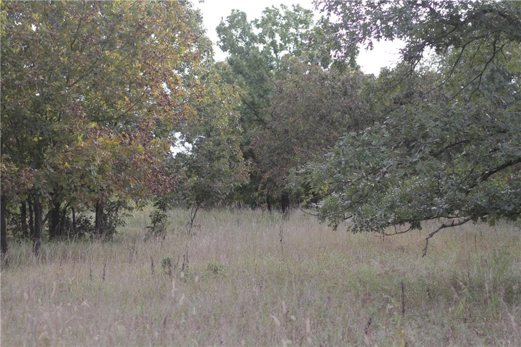 0 Ivory Road Moran, KS 66755 - Photo 43 of 50