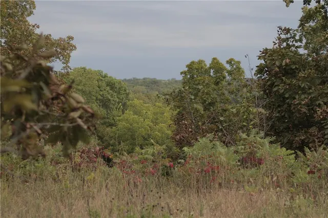 $330,650 | 0 Ivory Road, Moran, KS 66755