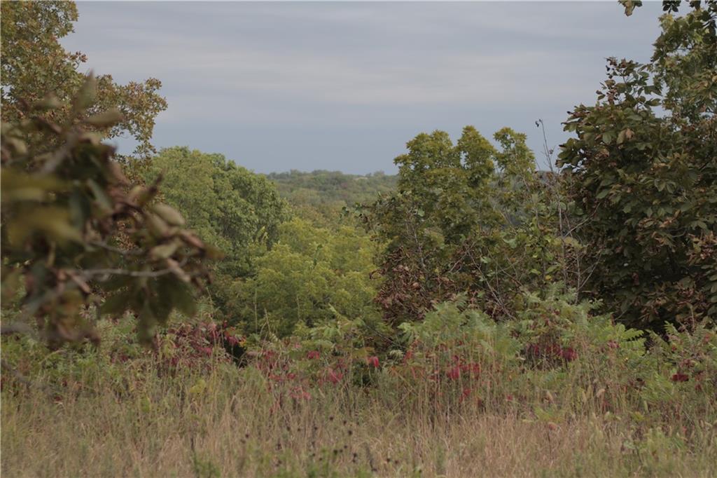 0 Ivory Road Moran, KS 66755 - Photo 44 of 50