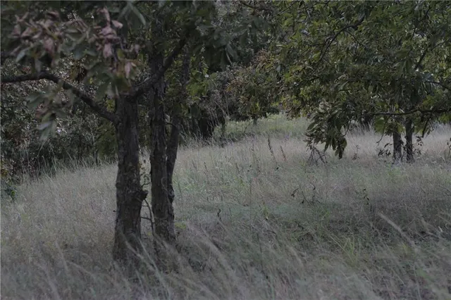 $330,650 | 0 Ivory Road, Moran, KS 66755