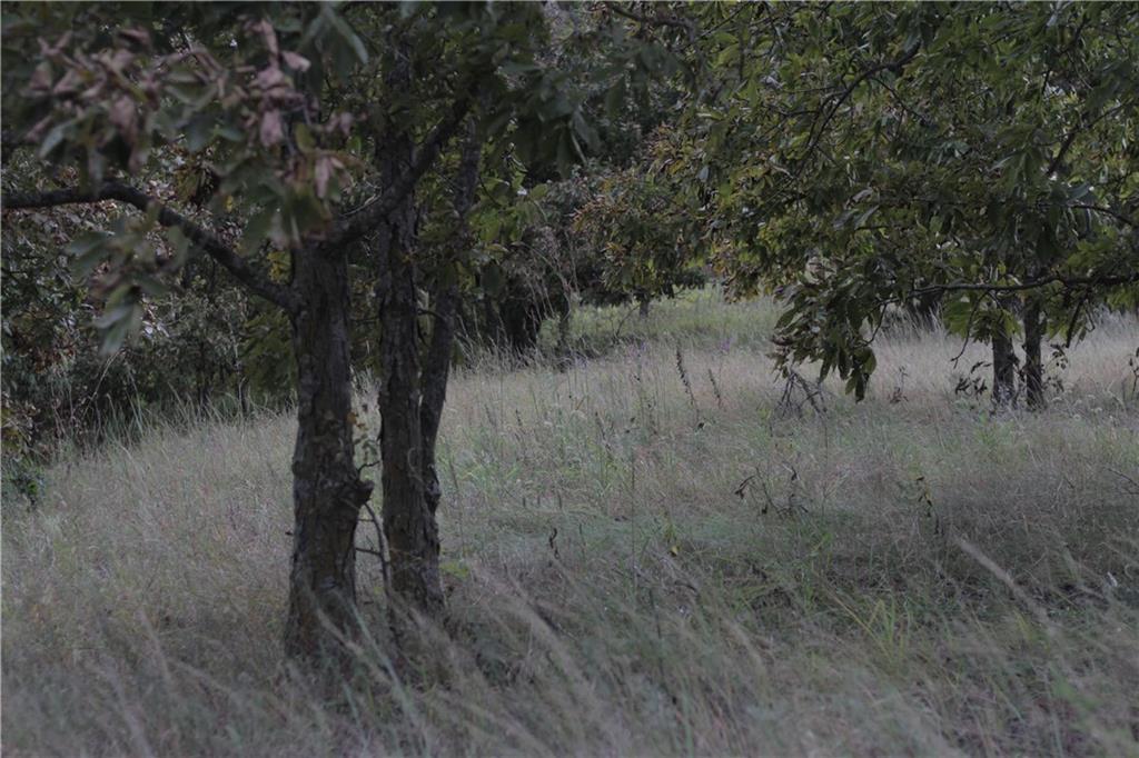 0 Ivory Road Moran, KS 66755 - Photo 45 of 50