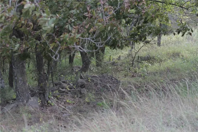 $330,650 | 0 Ivory Road, Moran, KS 66755