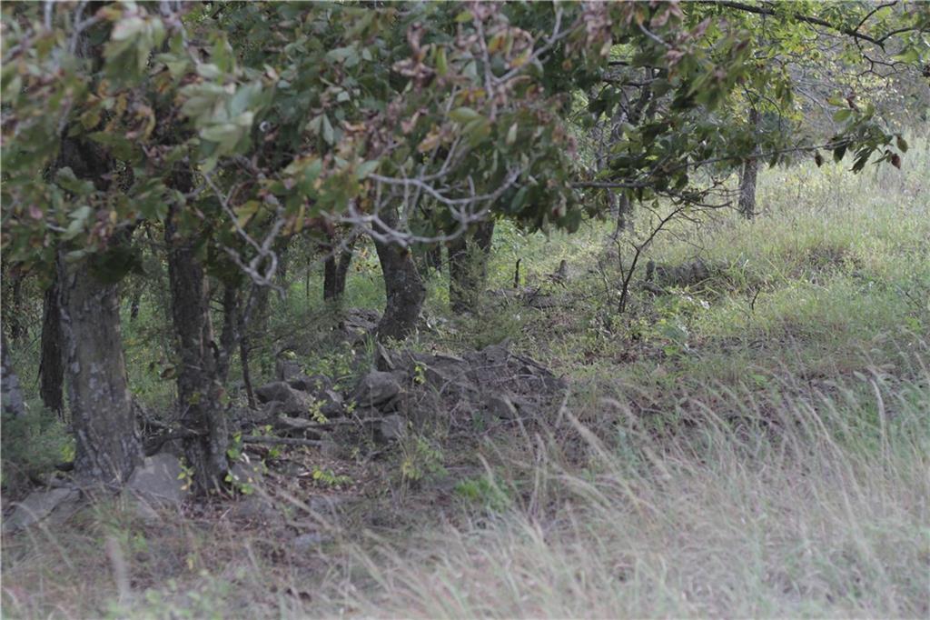 0 Ivory Road Moran, KS 66755 - Photo 46 of 50