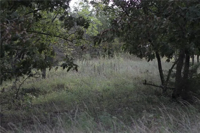 $330,650 | 0 Ivory Road, Moran, KS 66755