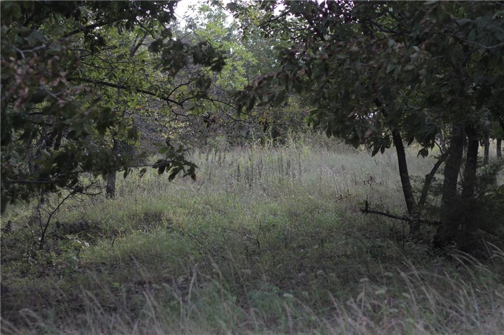 0 Ivory Road Moran, KS 66755 - Photo 47 of 50