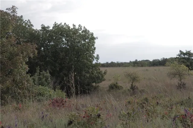 $330,650 | 0 Ivory Road, Moran, KS 66755