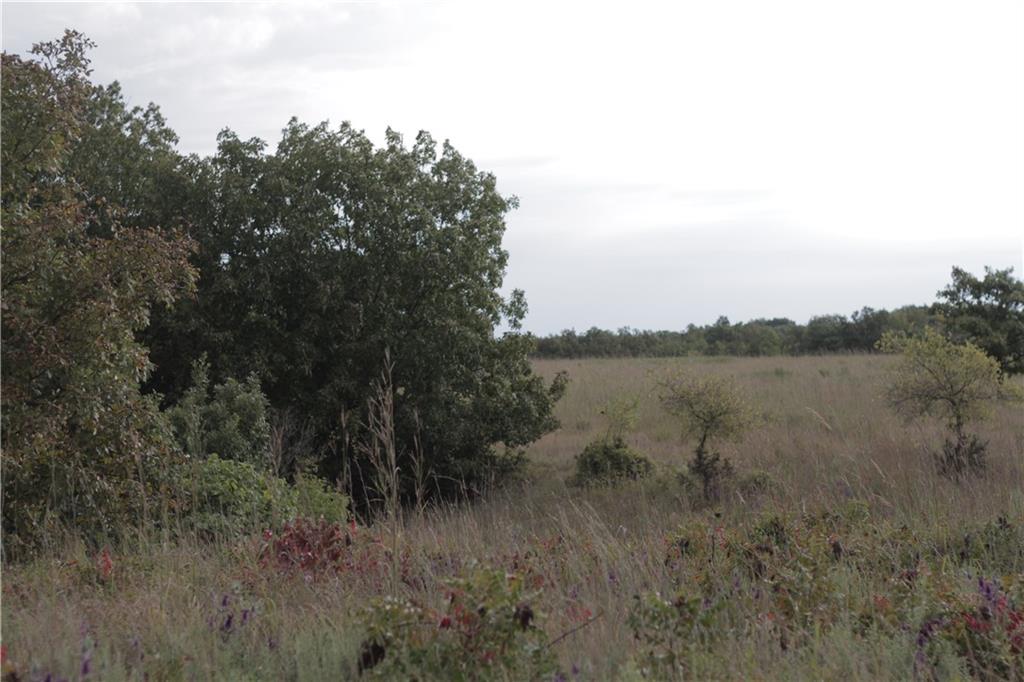 0 Ivory Road Moran, KS 66755 - Photo 48 of 50