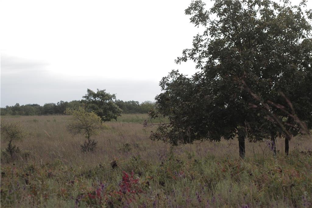 0 Ivory Road Moran, KS 66755 - Photo 49 of 50