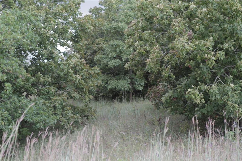 0 Ivory Road Moran, KS 66755 - Photo 50 of 50