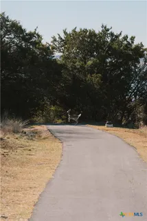 a view of a ocean beach