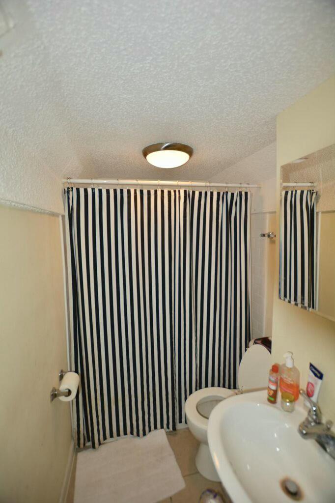 146 Line Street, Unit C Charleston, SC 29403 - Photo 15 of 16 tempImagem5HVeo