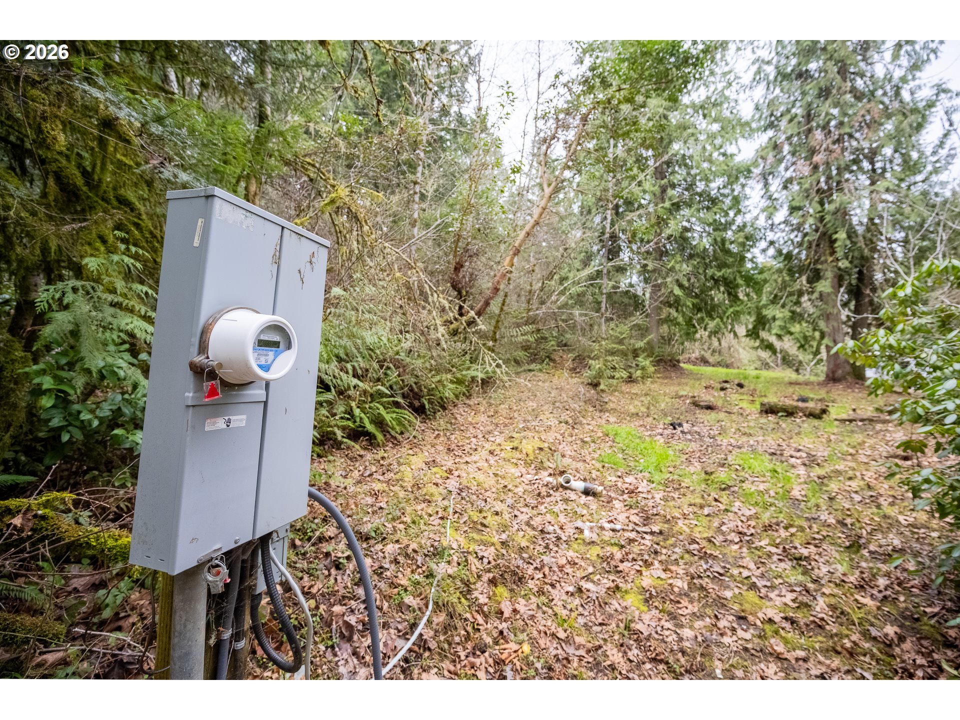 83715 Peninsula Road Fall Creek, OR 97438 - Photo 4 of 17