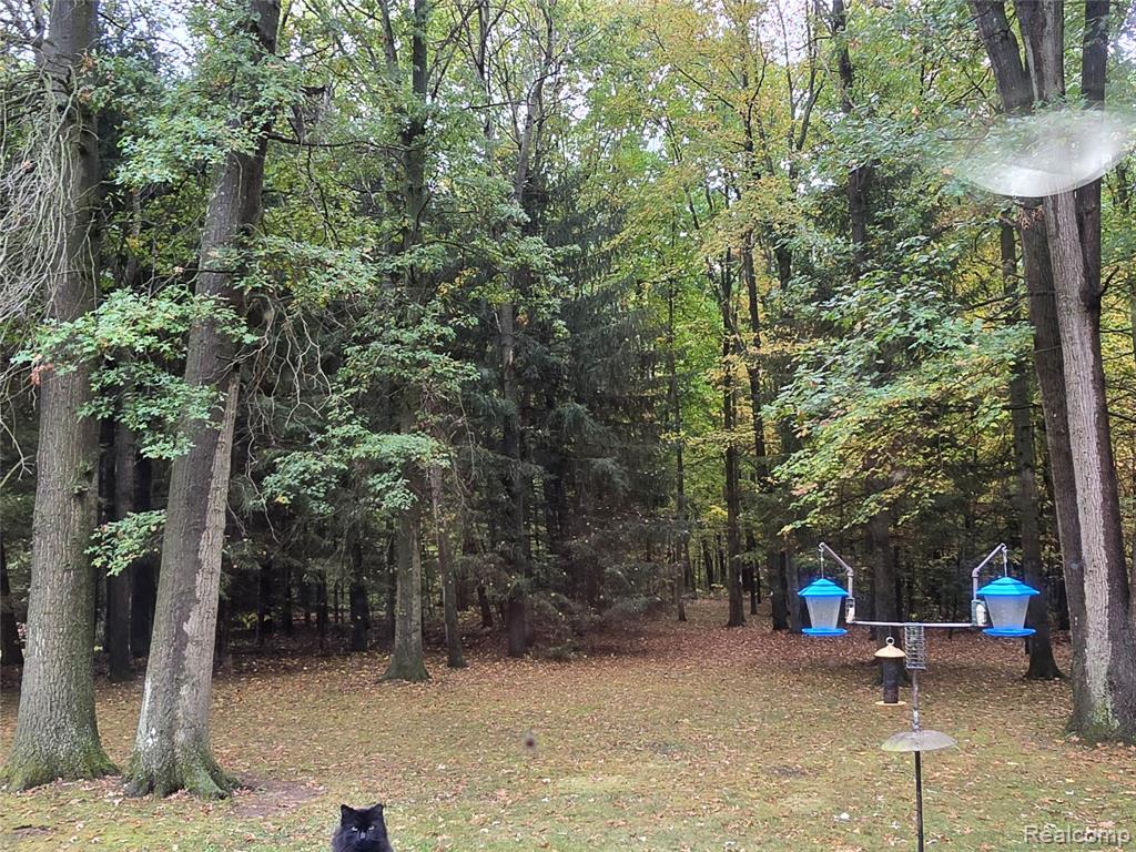 44611 Harris Road Belleville, MI 48111 - Photo 24 of 26
