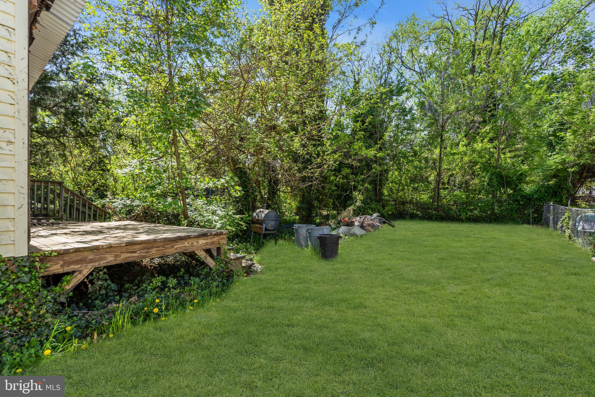 89 Chestnut Street Salem, NJ 08079 - Photo 16 of 20 a view of backyard with green space