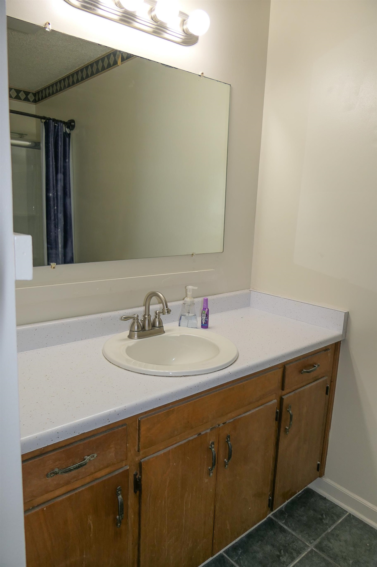 160 Candlenut Lane Boiling Springs, SC 29316 - Photo 15 of 25