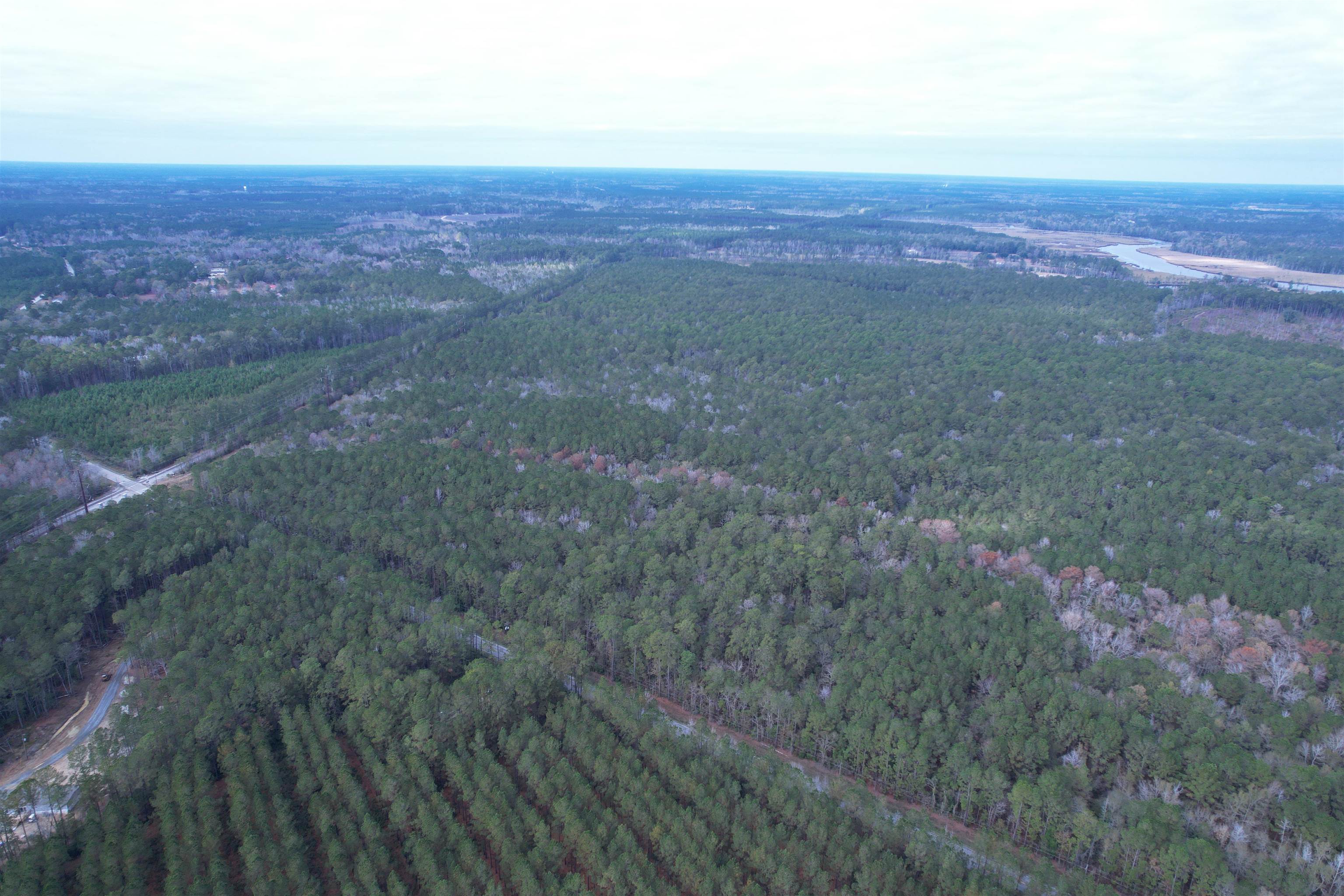 Tract B - Tbd Tract B - Tbd Pennyroyal Road Georgetown, SC 29440 - Photo 12 of 23