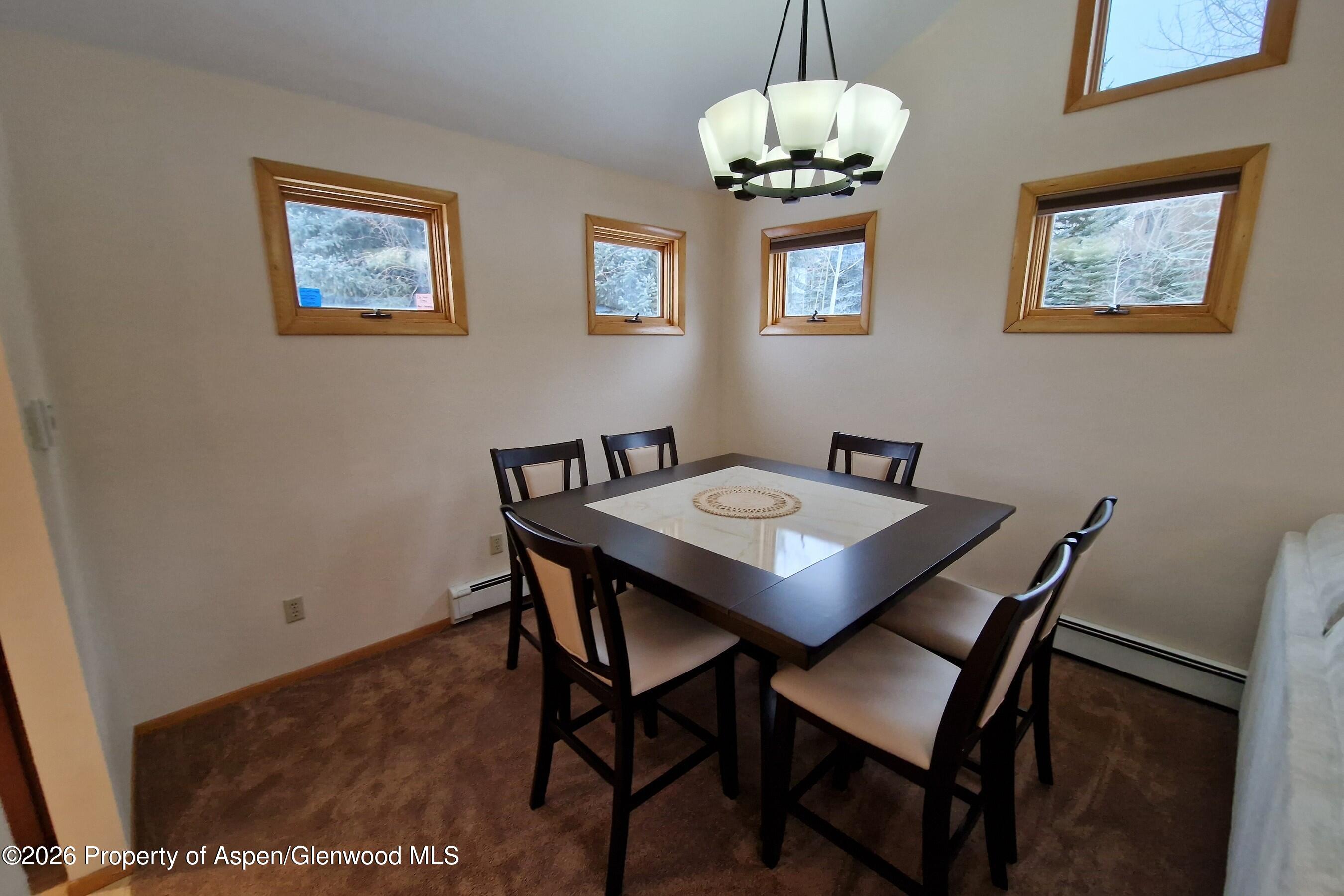 536 Spruce Street, Unit S 1 AND 2 Aspen, CO 81611 - Photo 6 of 7 20221228_151338