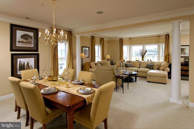 Interior (General)