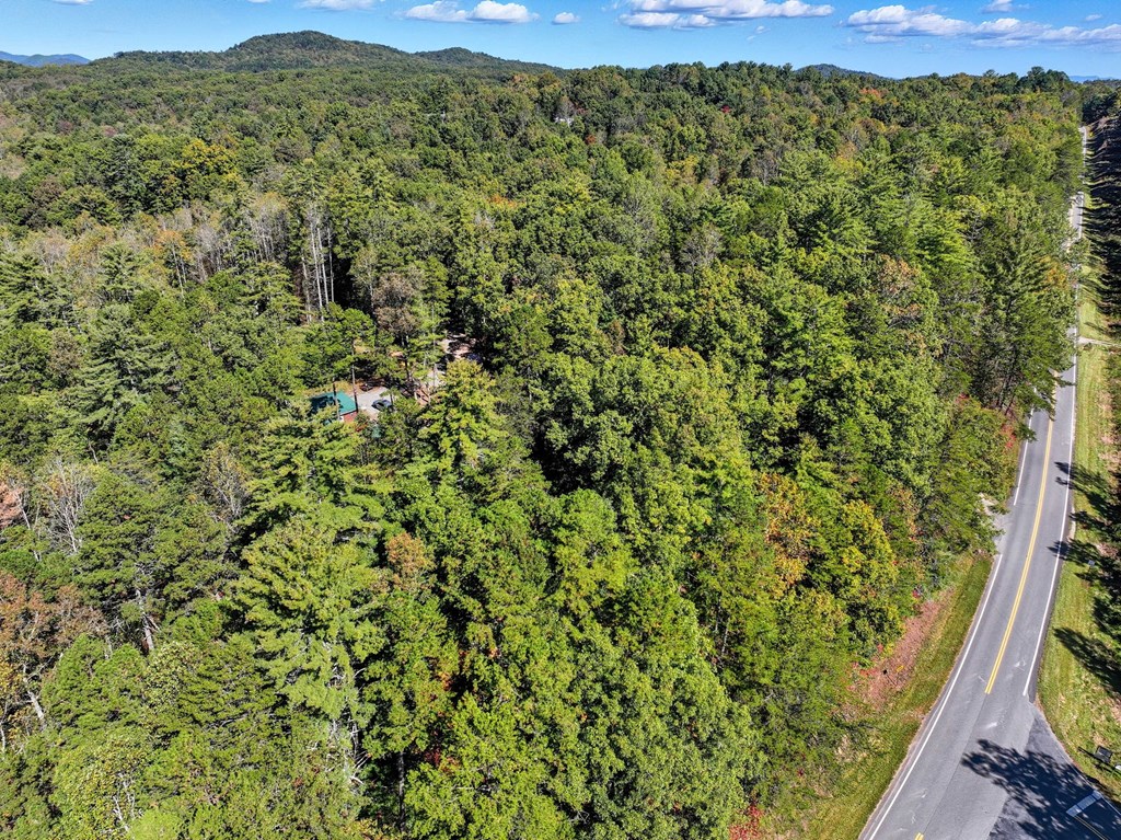 25 Foster Lane Morganton, GA 30560 - Photo 25 of 28 a view of a forest with a mountain