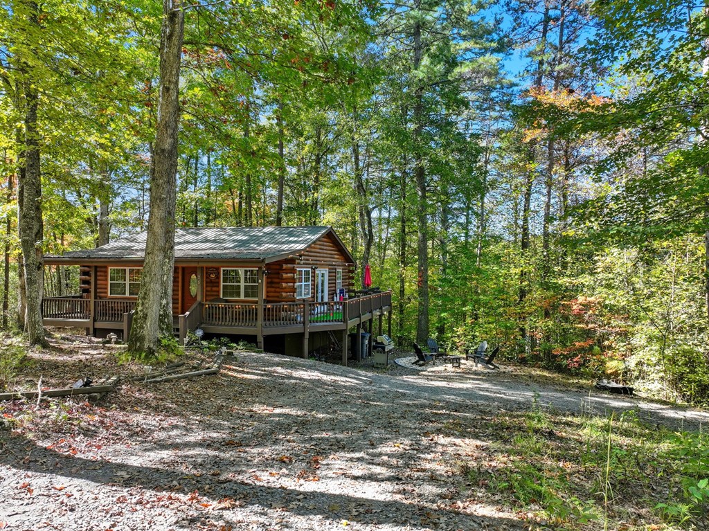 25 Foster Lane Morganton, GA 30560 - Photo 27 of 28 a view of a house with a yard