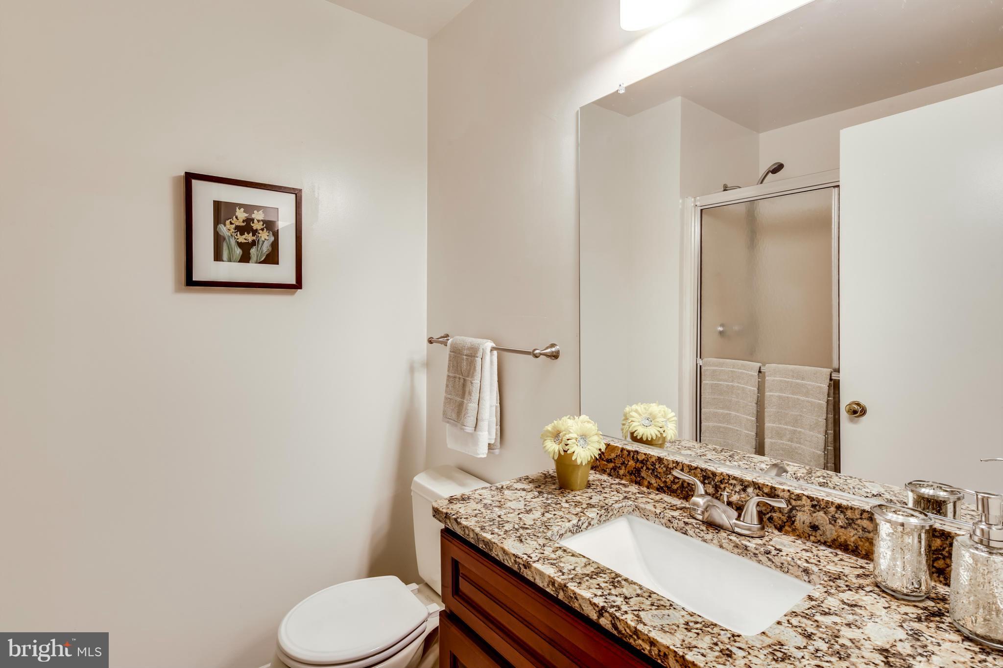 8724 Ruppert Court Ellicott City, MD 21043 - Photo 18 of 27 Bath (Master)