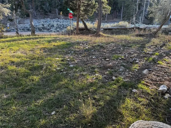$780,000 | 4834 Knotty Pine Way, Mount Charleston, NV 89124