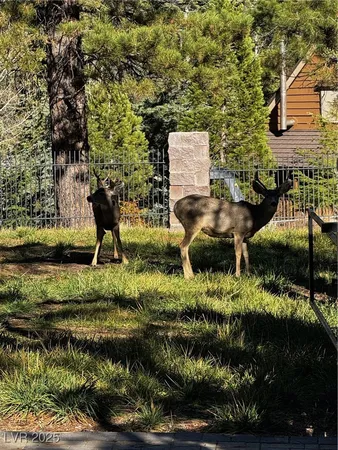 $780,000 | 4834 Knotty Pine Way, Mount Charleston, NV 89124