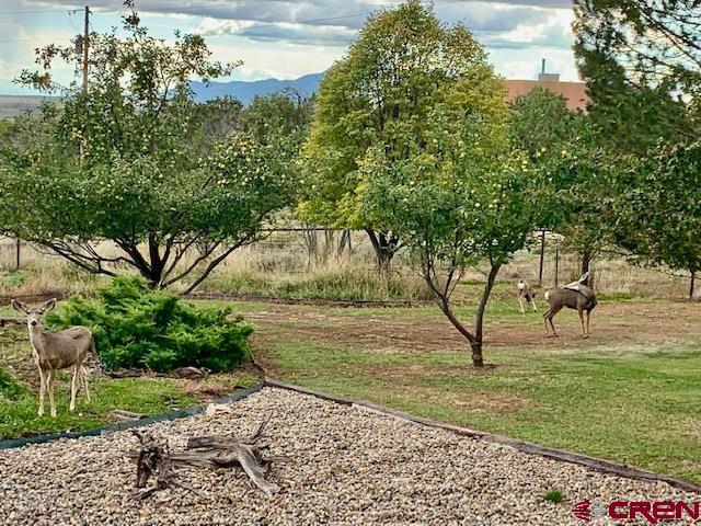 23270 Rd X Lewis, CO 81327 - Photo 32 of 35 Gallery Image 32