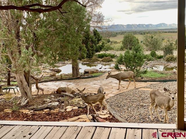 23270 Rd X Lewis, CO 81327 - Photo 33 of 35 Gallery Image 33