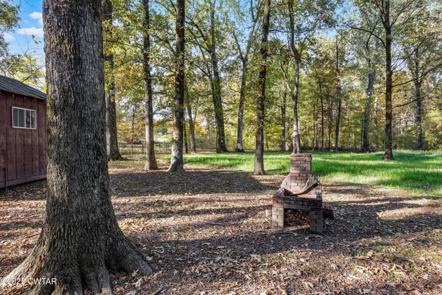 a view of a park with large trees