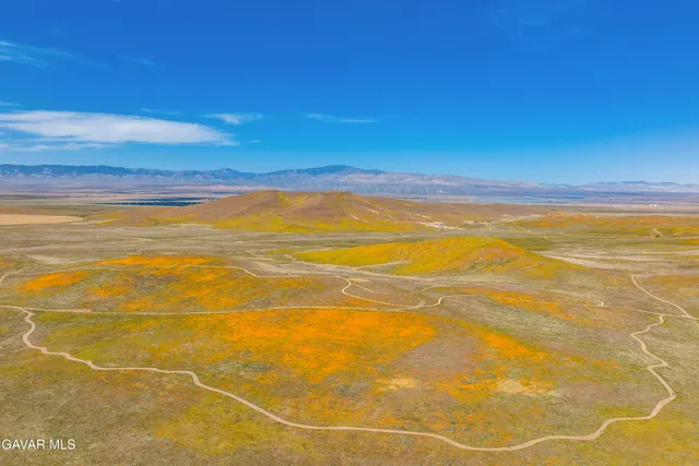 a view of an ocean and beach