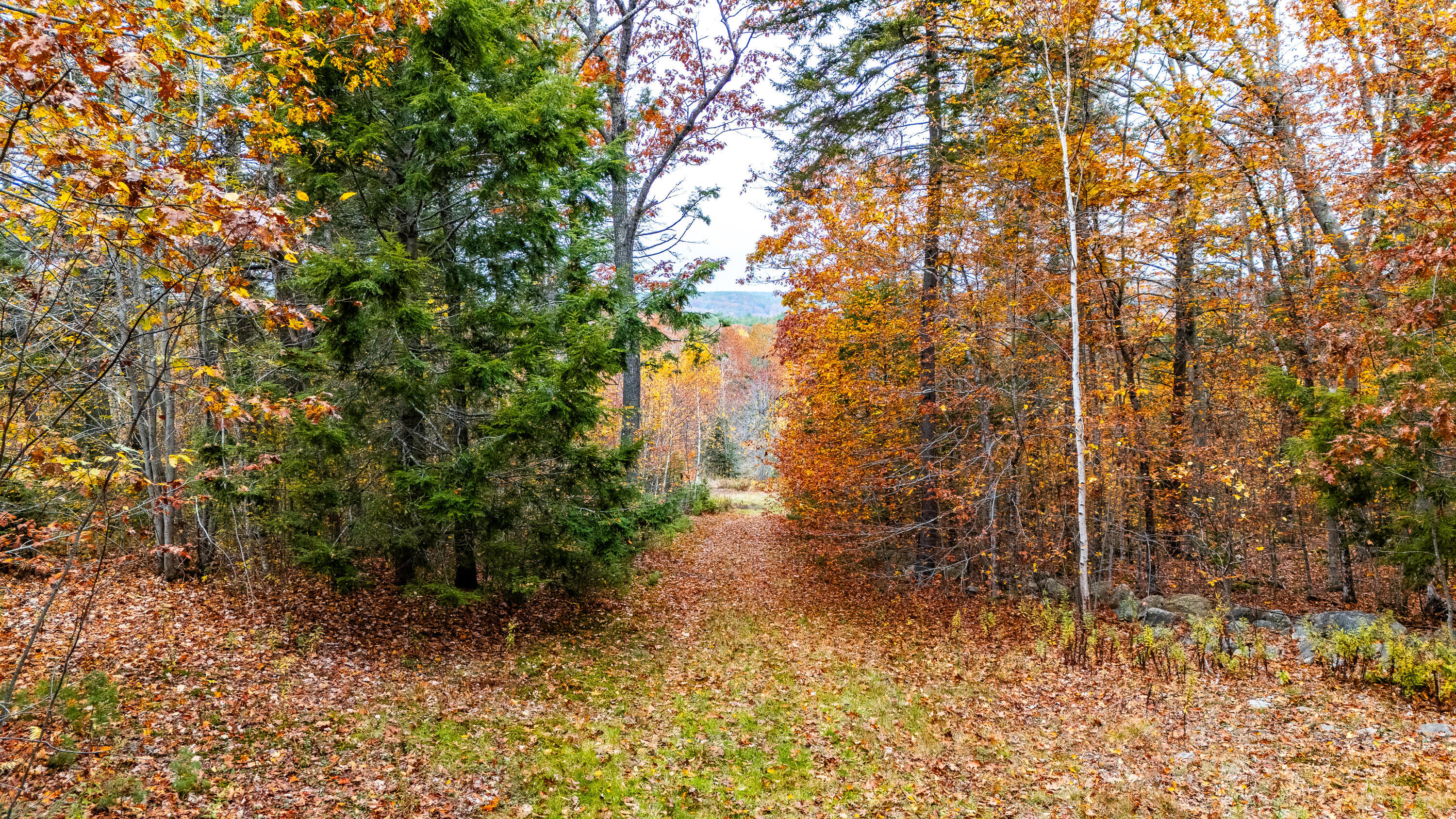 Lot#4 Bay View Trail Edgecomb, ME 04556 - Photo 22 of 48