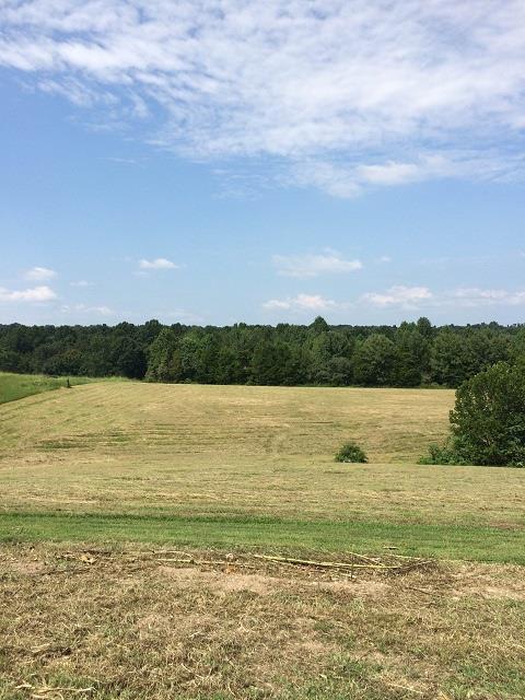 8673 Galen Road Lafayette, TN 37083 - Photo 6 of 12