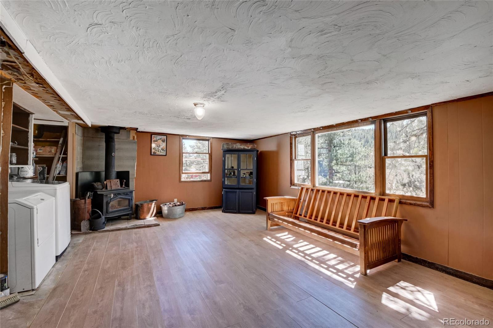 101 Main Street Bailey, CO 80421 - Photo 13 of 22 a living room with furniture and a window