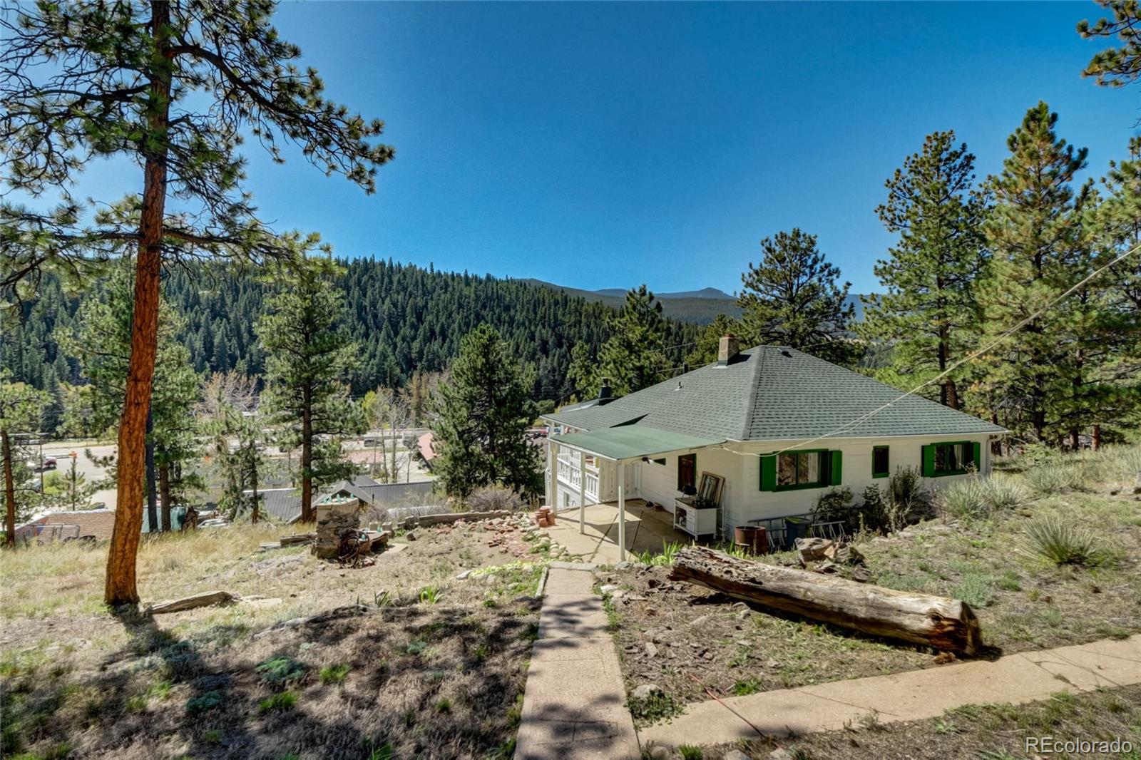 101 Main Street Bailey, CO 80421 - Photo 21 of 22 a front view of a house with a yard