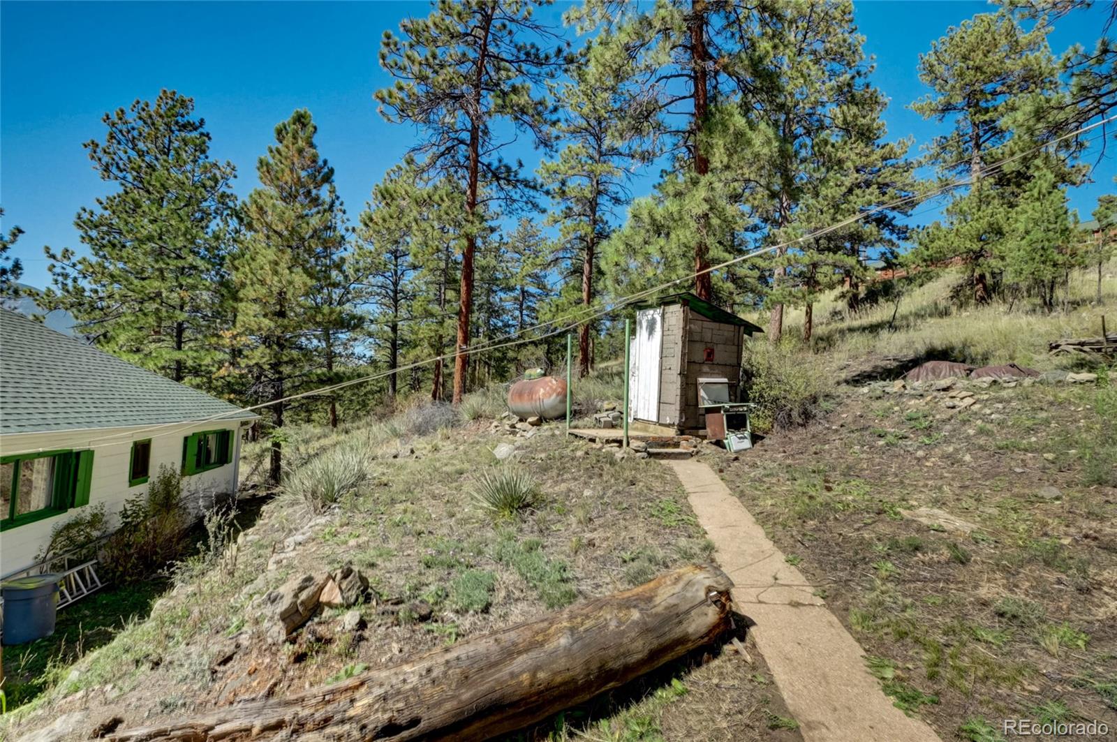 101 Main Street Bailey, CO 80421 - Photo 22 of 22 a view of a house with a tree