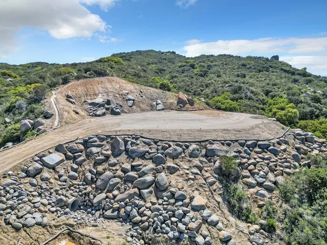 a view of a rural road with plants