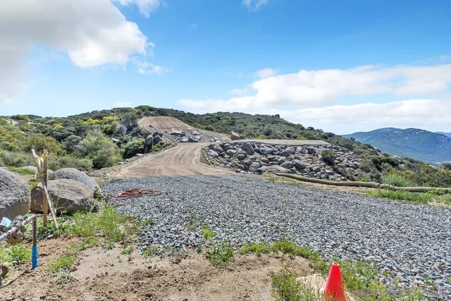 a view of a tree with a yard