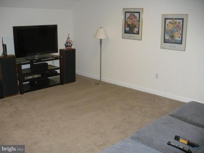 8623 Reseca Lane Springfield, VA 22152 - Photo 16 of 23 Recreation Room