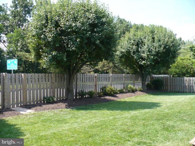 8623 Reseca Lane Springfield, VA 22152 - Photo 19 of 23 Back yard