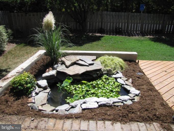 8623 Reseca Lane Springfield, VA 22152 - Photo 23 of 23 Water Garden 1