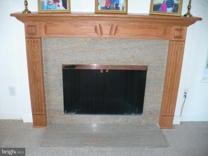 8623 Reseca Lane Springfield, VA 22152 - Photo 4 of 23 Fireplace