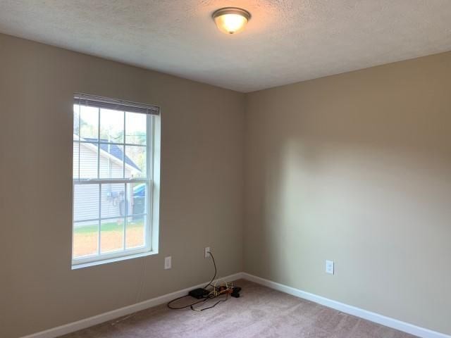 1240 Tramel Road Sevierville, TN 37862 - Photo 17 of 20 Gallery Image 17